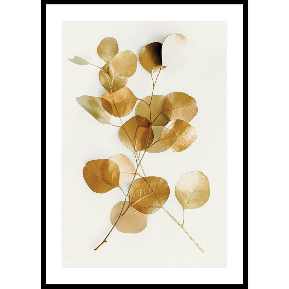 Poster Gallerix Eucalyptus Gold No4