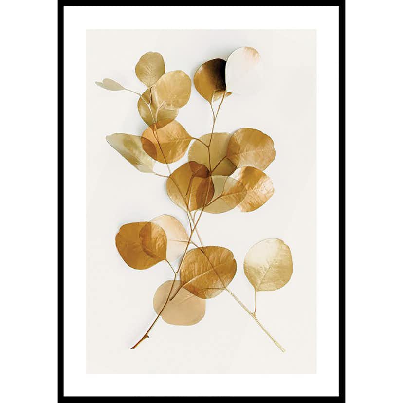 Poster Gallerix Eucalyptus Gold No4