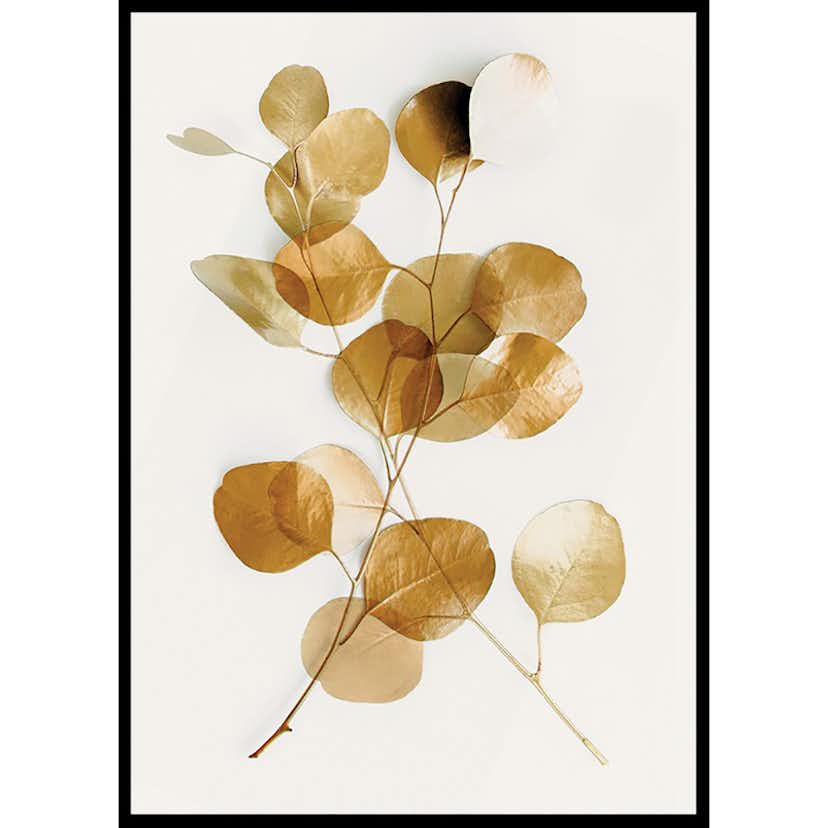 Poster Gallerix Eucalyptus Gold No4
