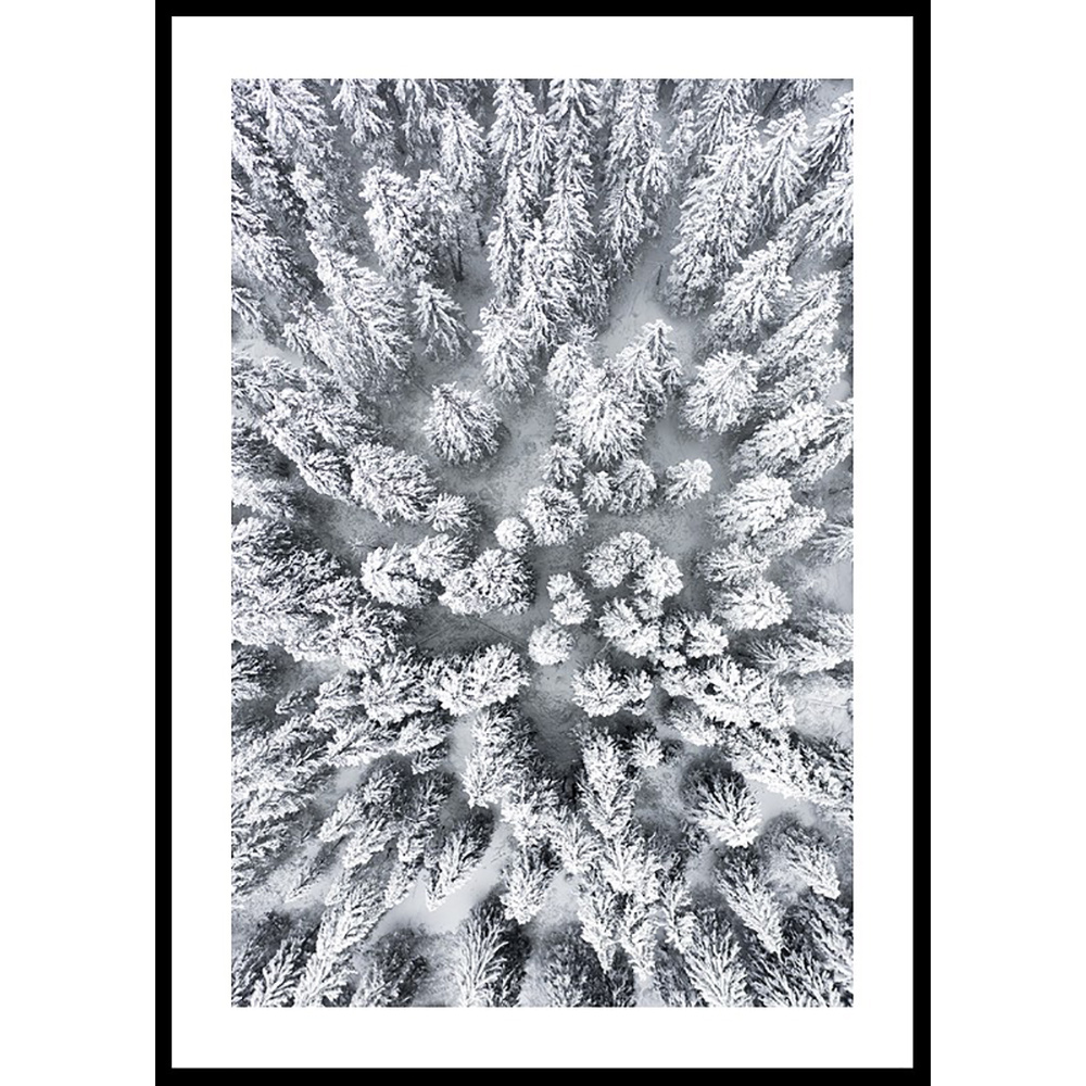 Poster Gallerix Snow Forest Aerial