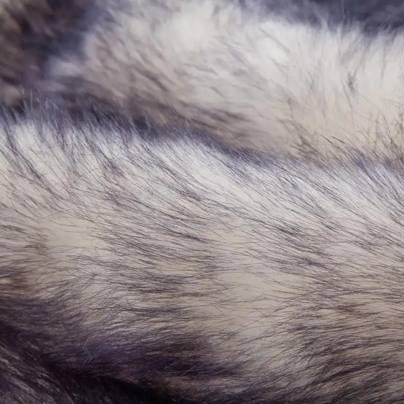 Ryamatta D-sign Sheploucy Coein