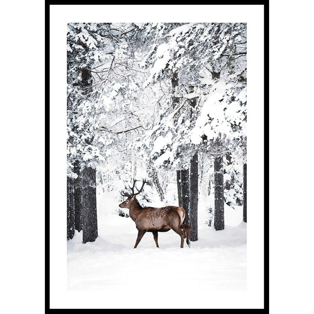 Poster Gallerix Deer In Snow