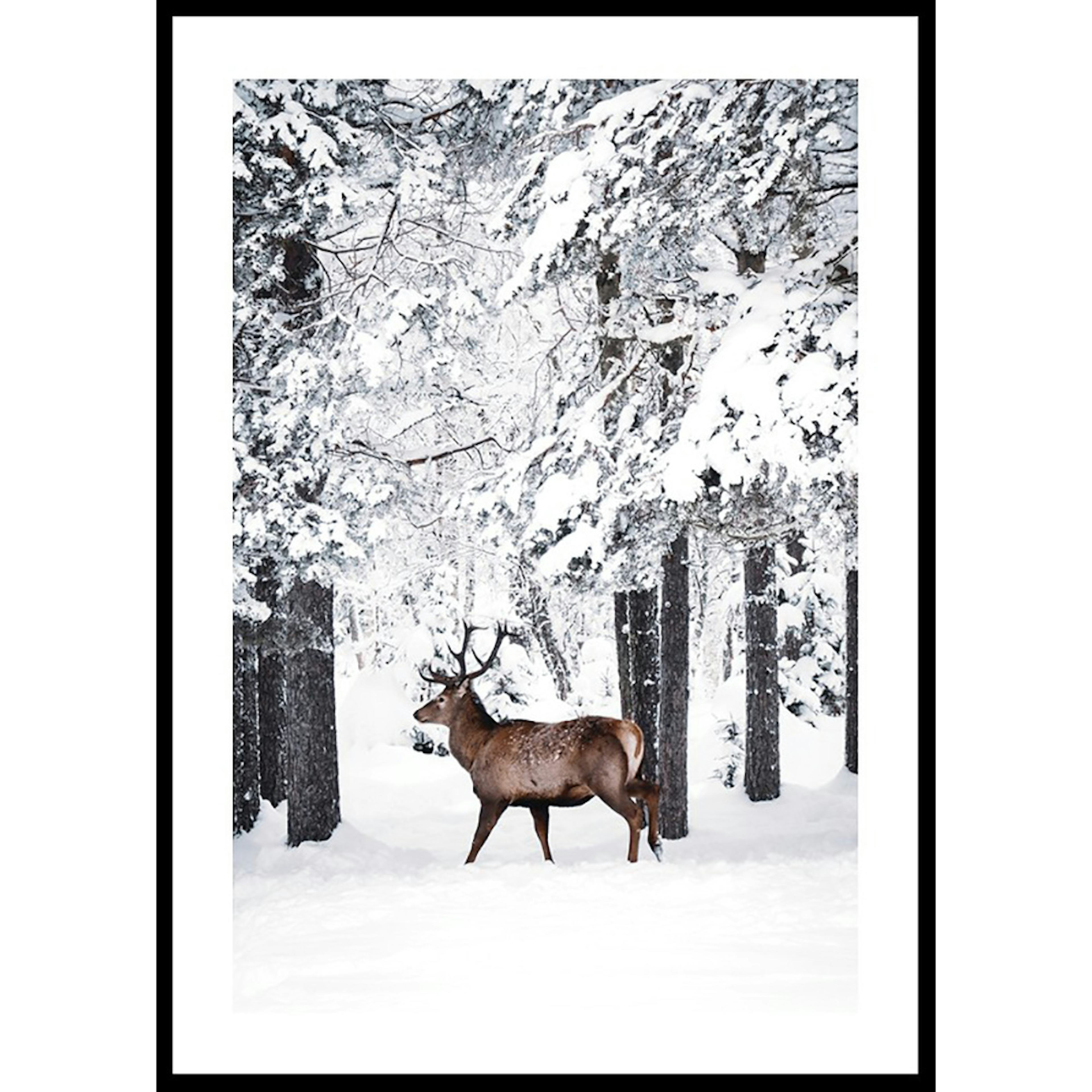 Poster Gallerix Deer In Snow