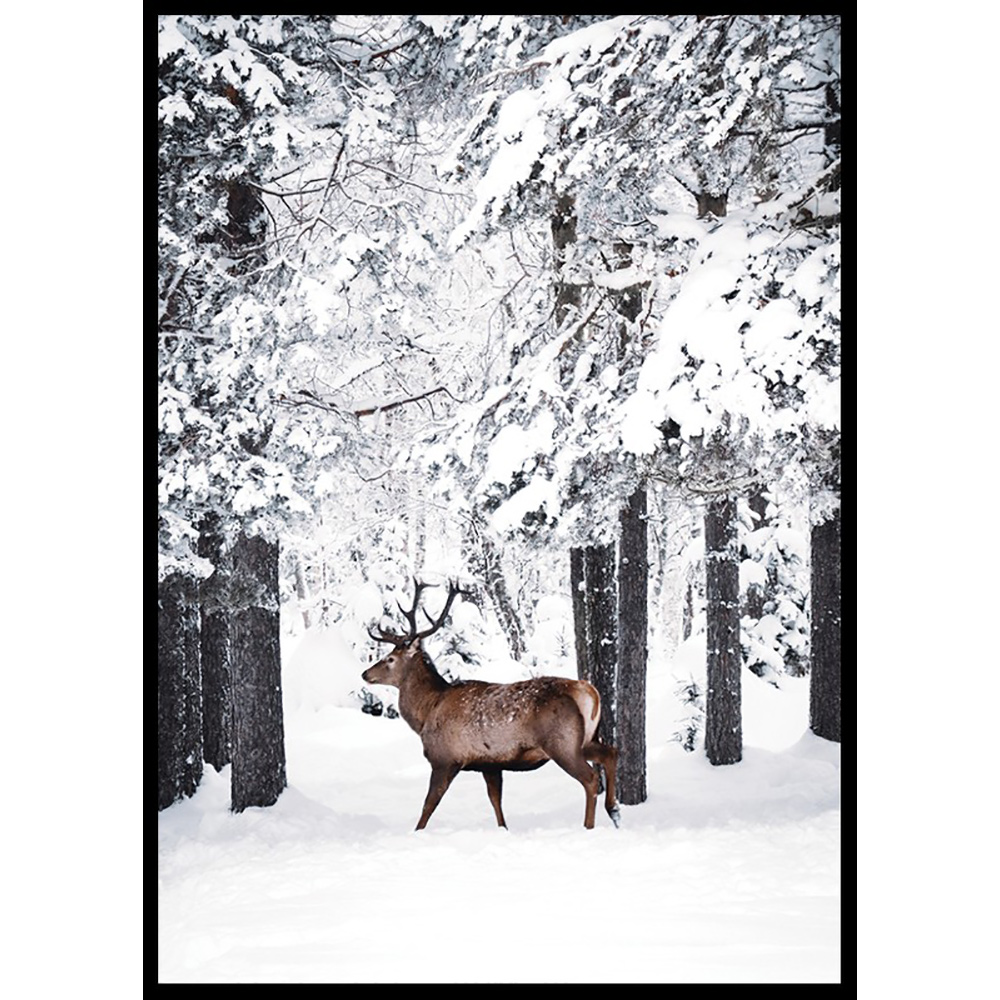Poster Gallerix Deer In Snow