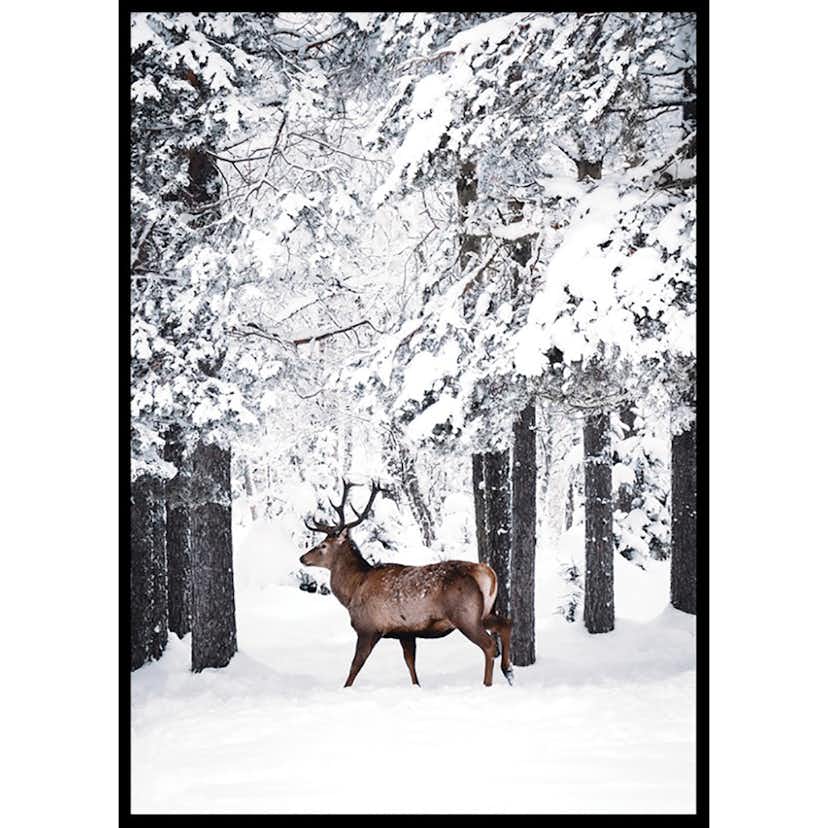 Poster Gallerix Deer In Snow