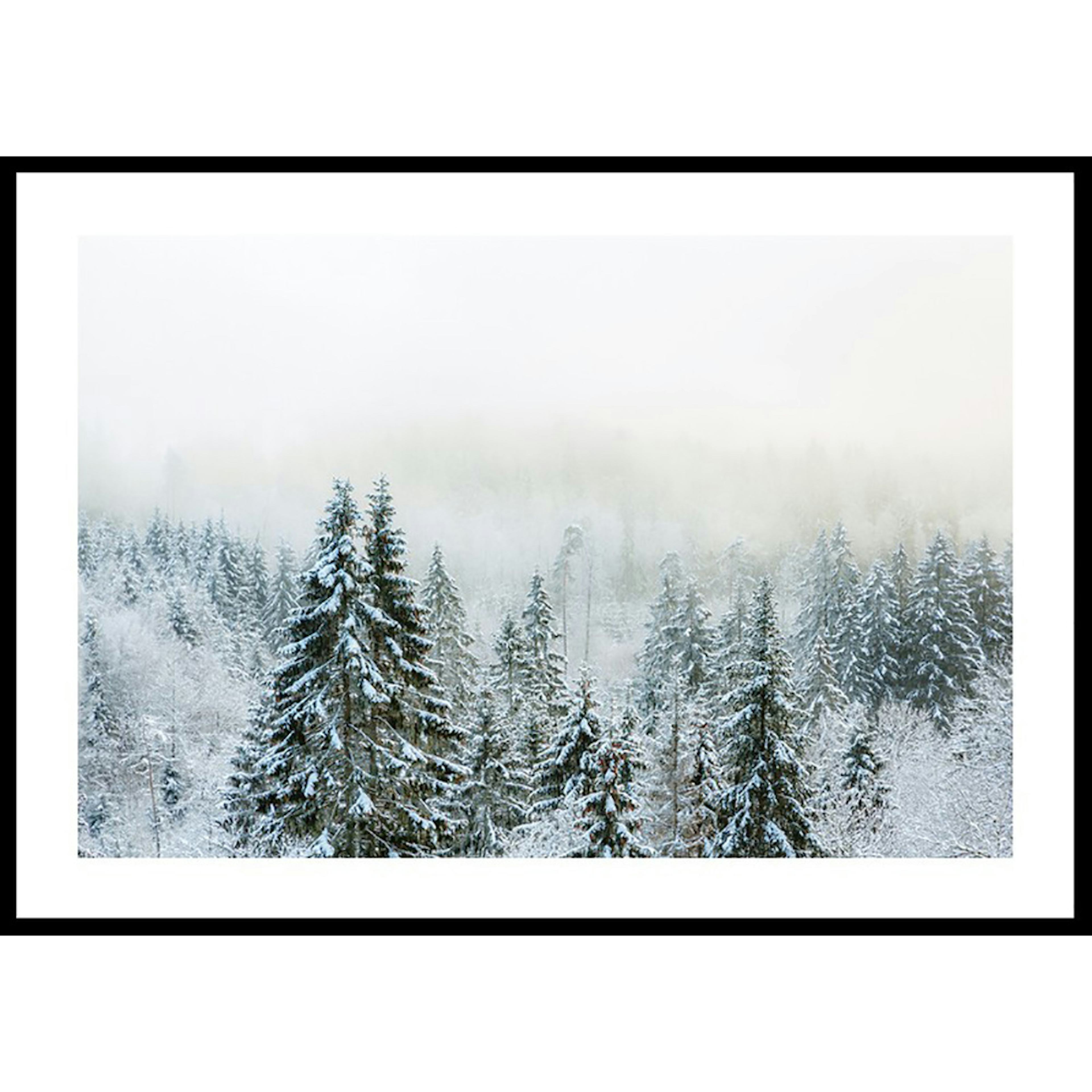 Poster Gallerix Snow Covered Forest