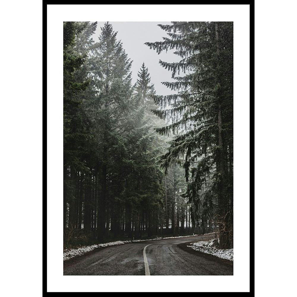 Poster Gallerix Deep Forest Road