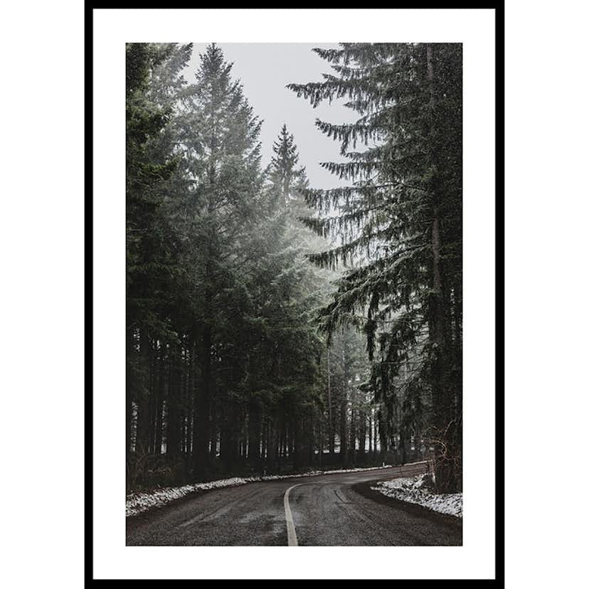 Poster Gallerix Deep Forest Road