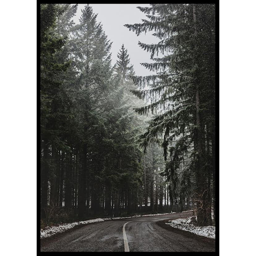 Poster Gallerix Deep Forest Road