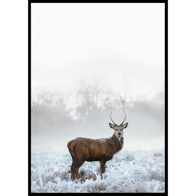 Poster Gallerix Deer In Field