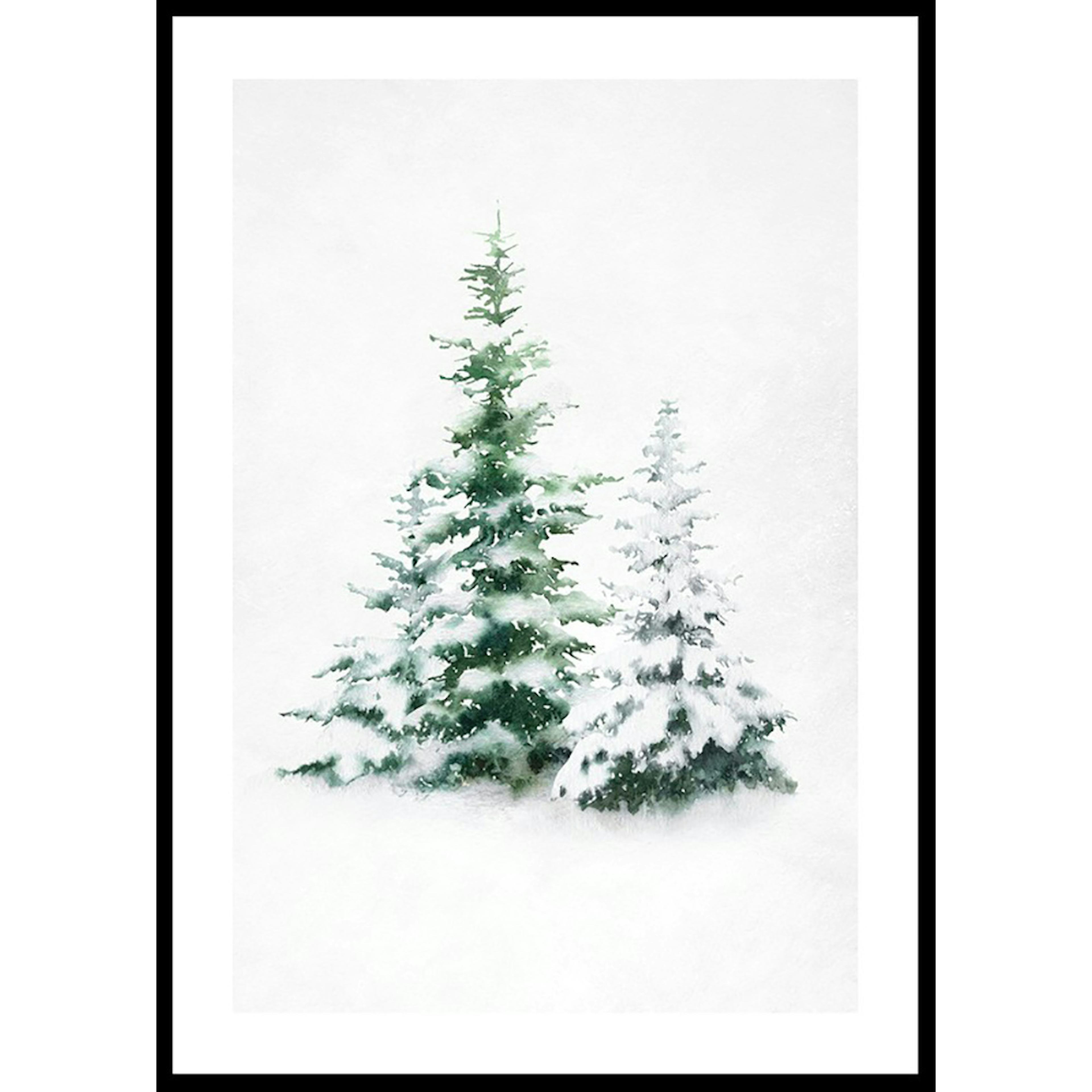 Poster Gallerix Watercolor Evergreen Trees