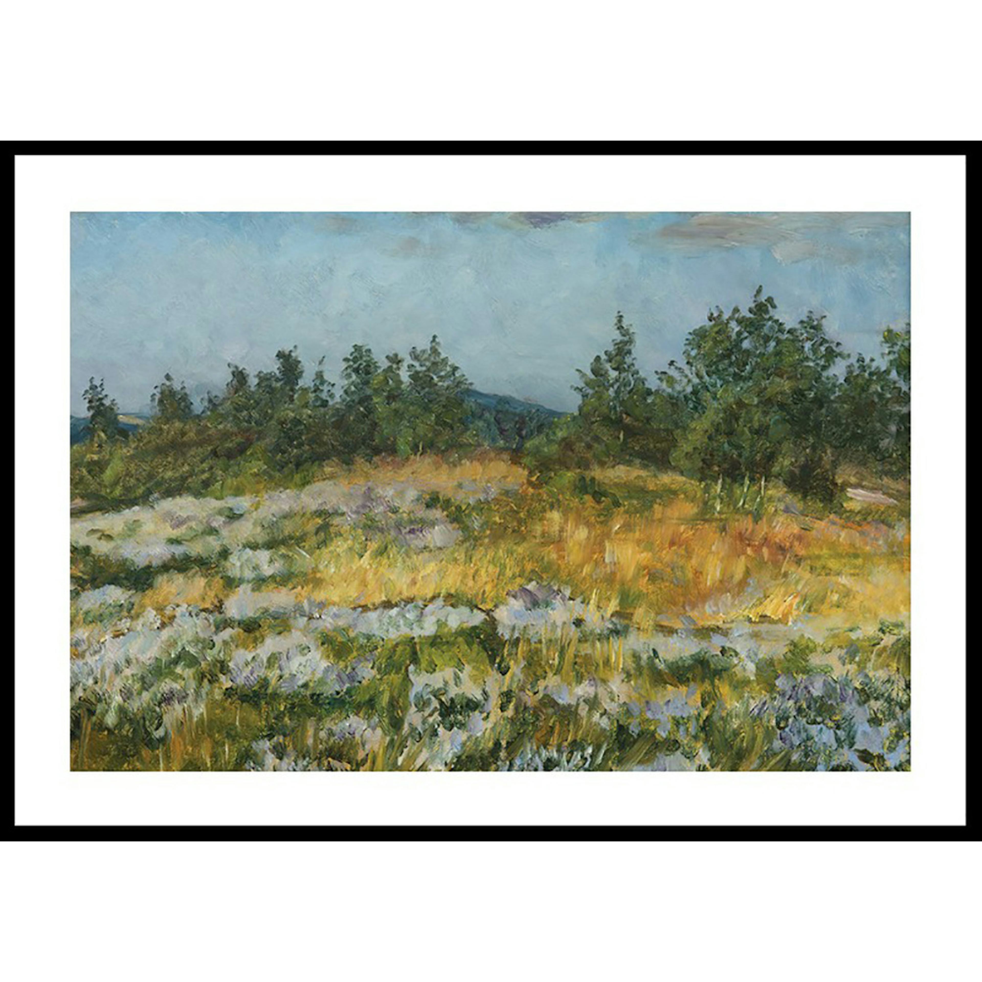 Poster Gallerix A Little Bit of Heather By František Kaván