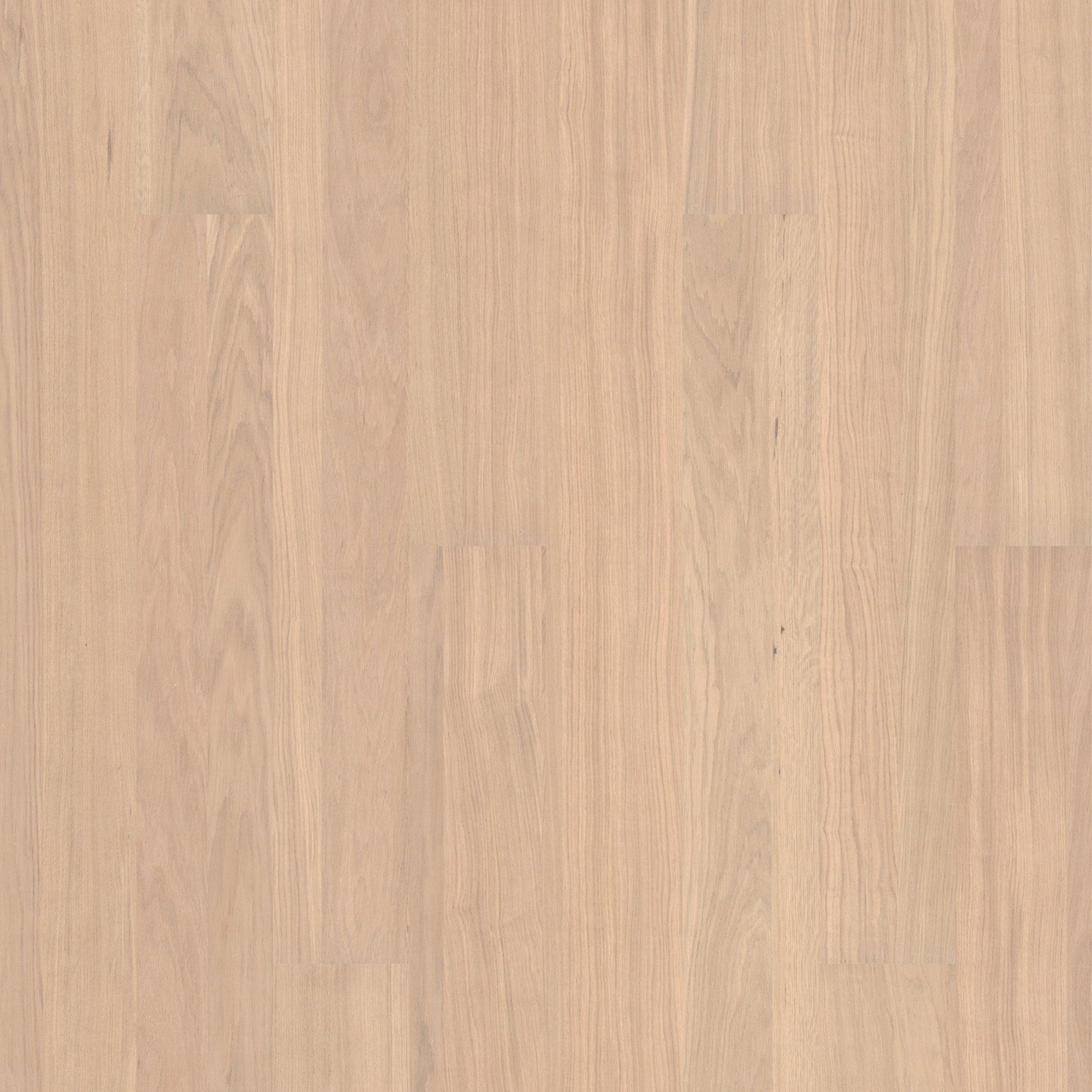 Trägolv Bjelin Härdad Ek Vista White Mattlack Multistrip