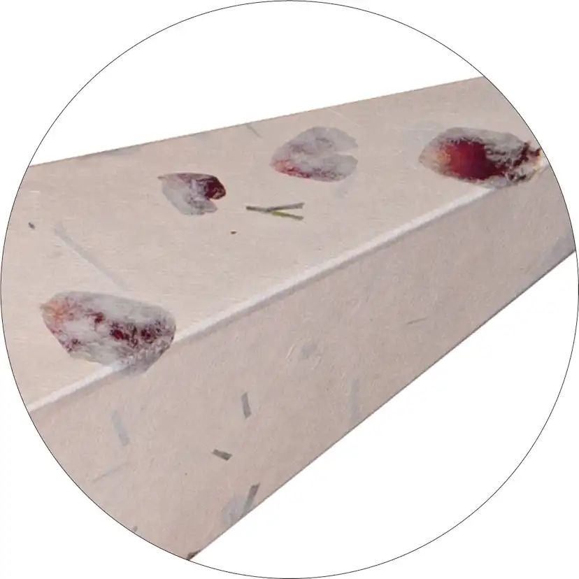 Adventsstjärna Star Trading Care Pappersstjärna