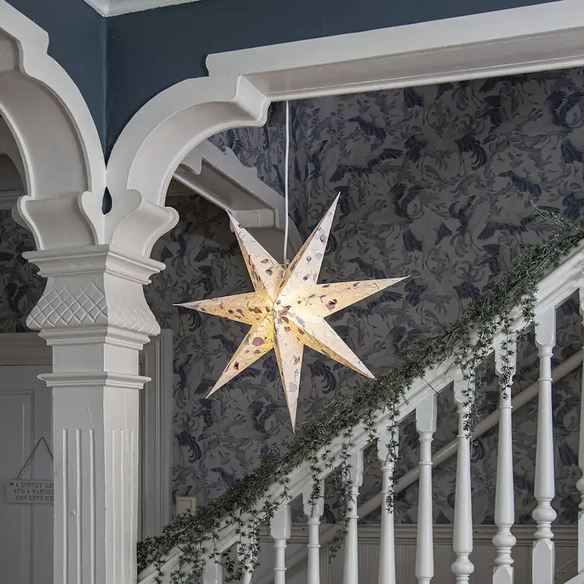 Adventsstjärna Star Trading Care Pappersstjärna