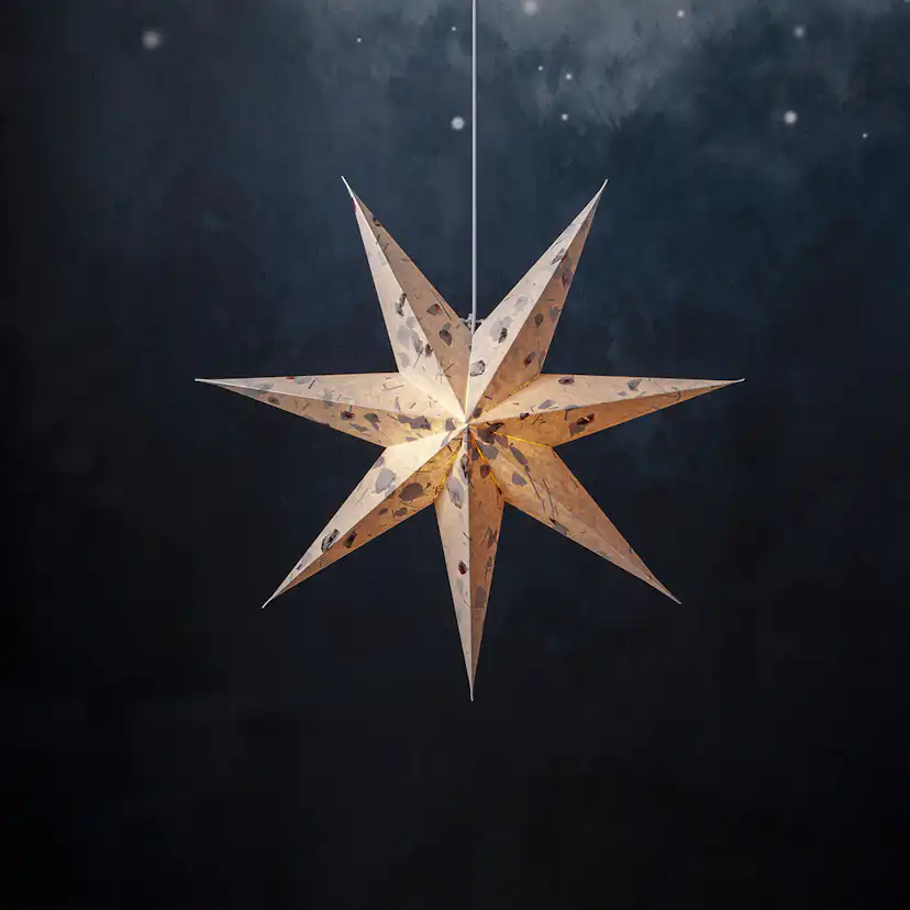 Adventsstjärna Star Trading Care Pappersstjärna
