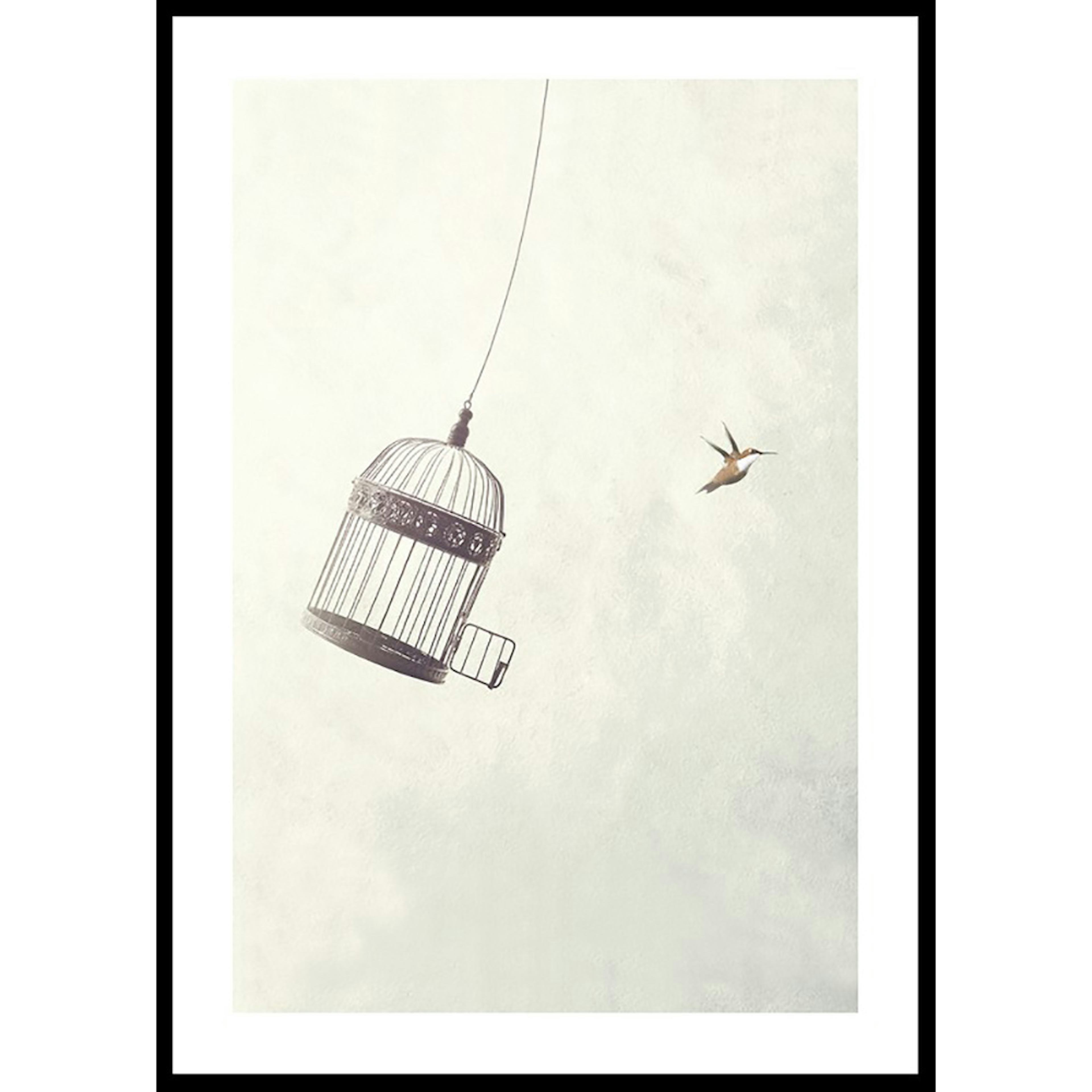 Poster Gallerix Flying Towards Freedom