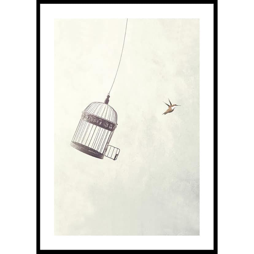 Poster Gallerix Flying Towards Freedom