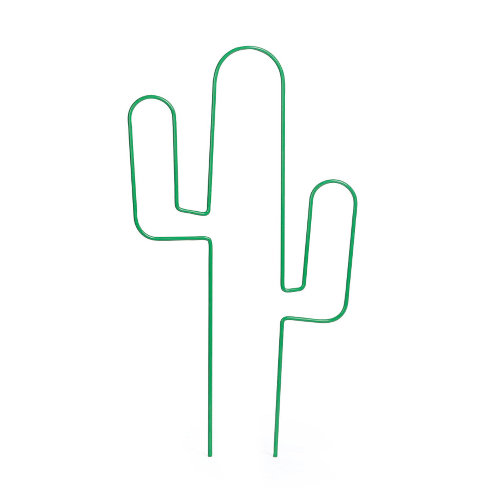 Krukspaljé Nelson Garden Cactus