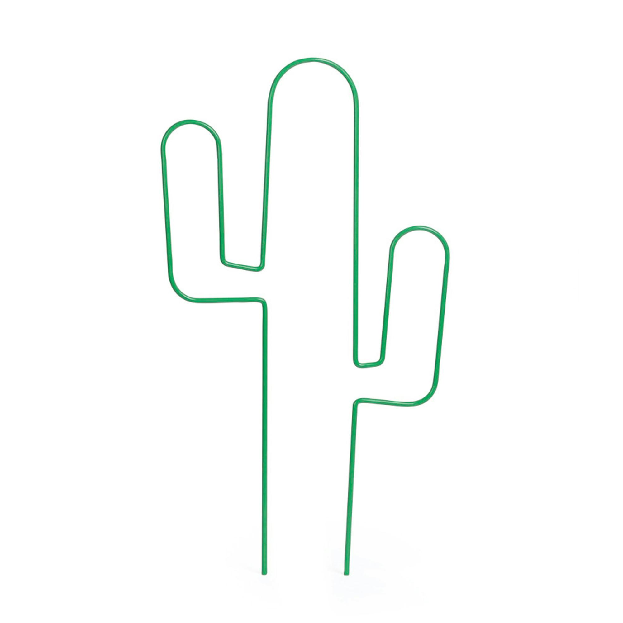 Krukspaljé Nelson Garden Cactus