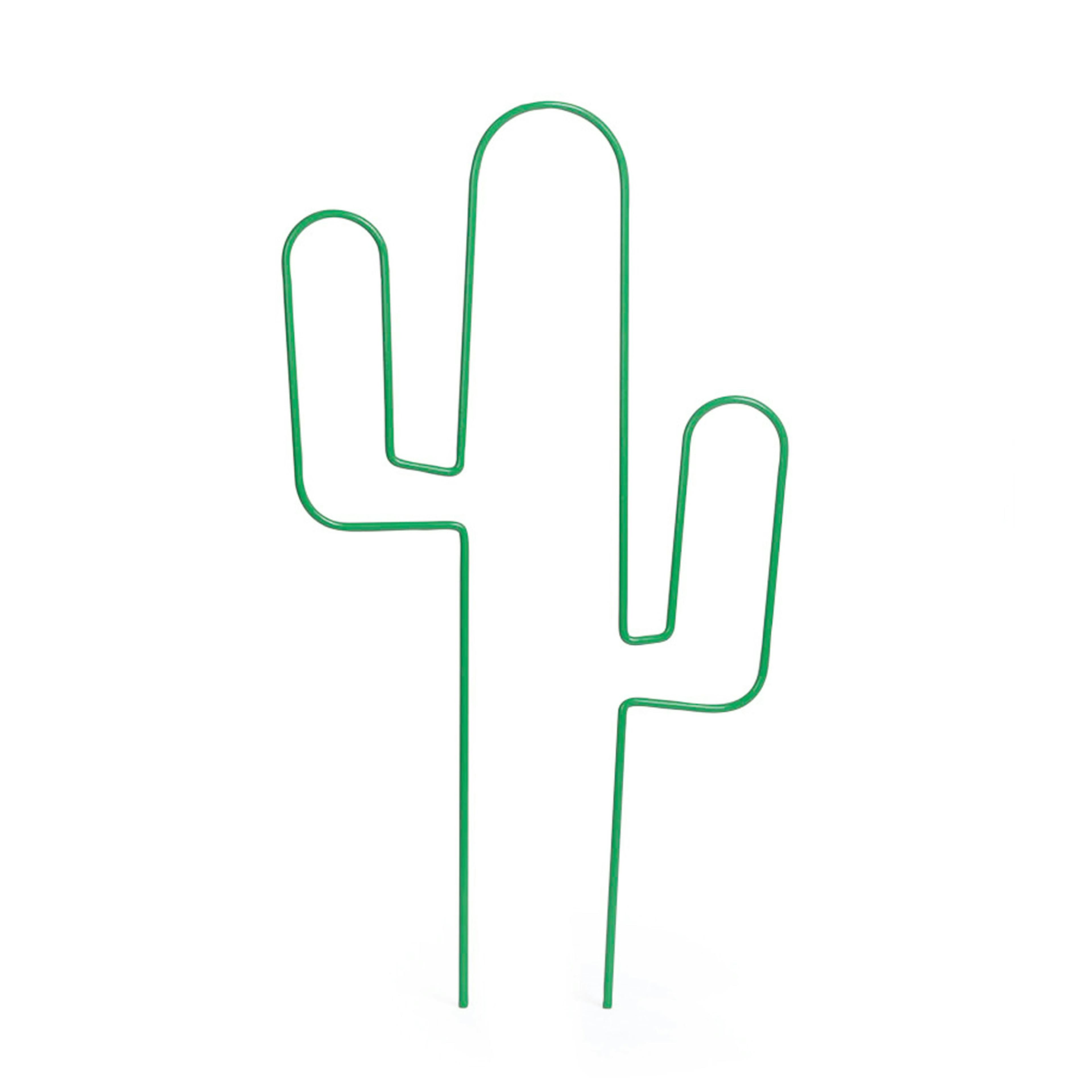 Krukspaljé Nelson Garden Cactus