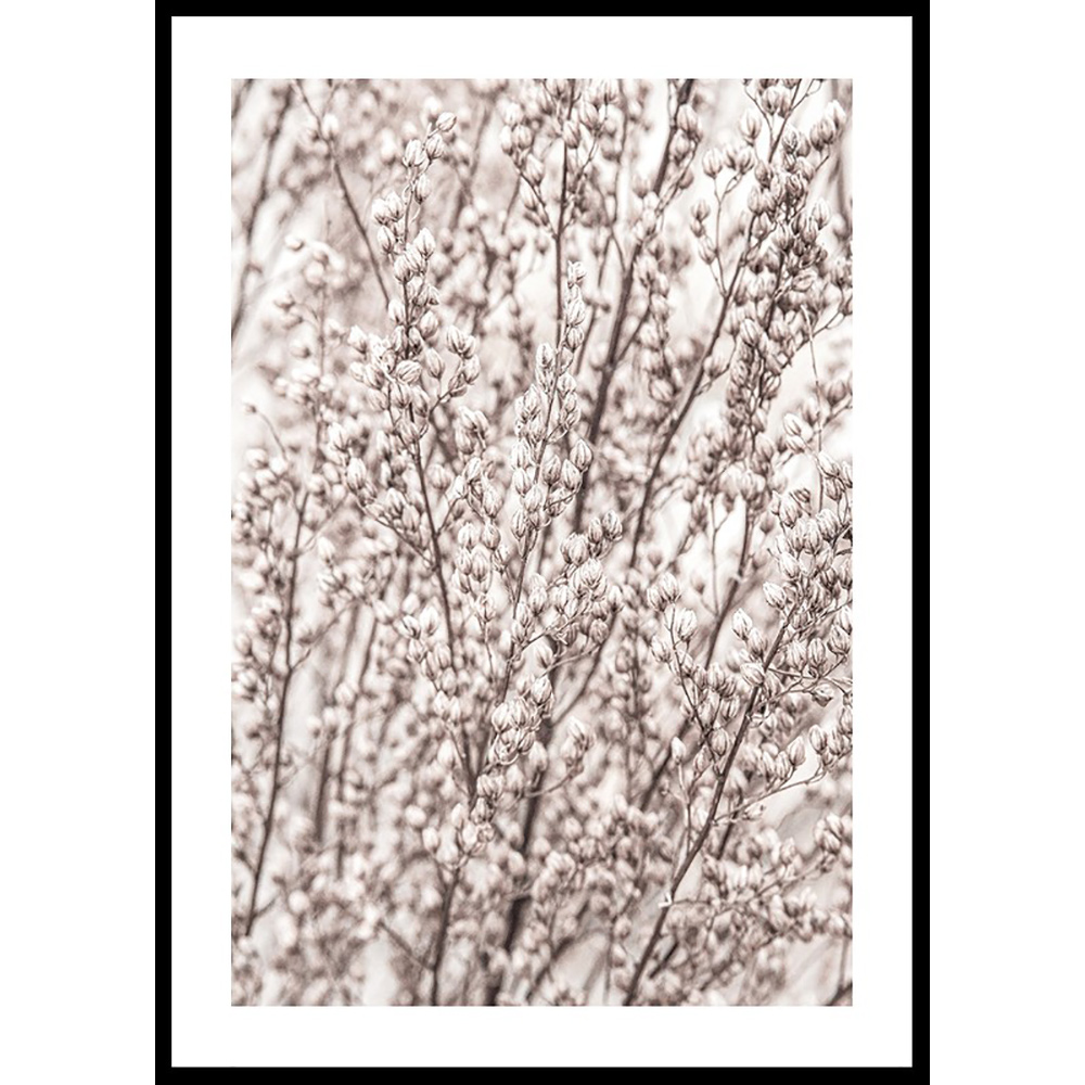 Poster Gallerix Boho Botanical