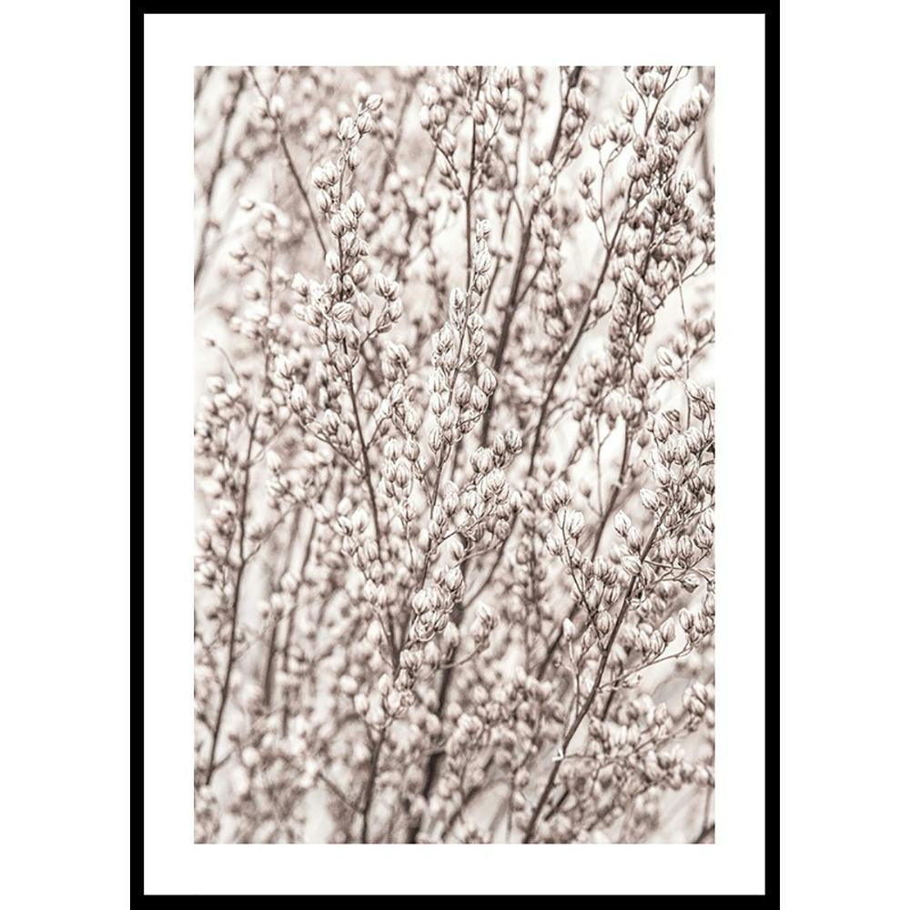 Poster Gallerix Boho Botanical