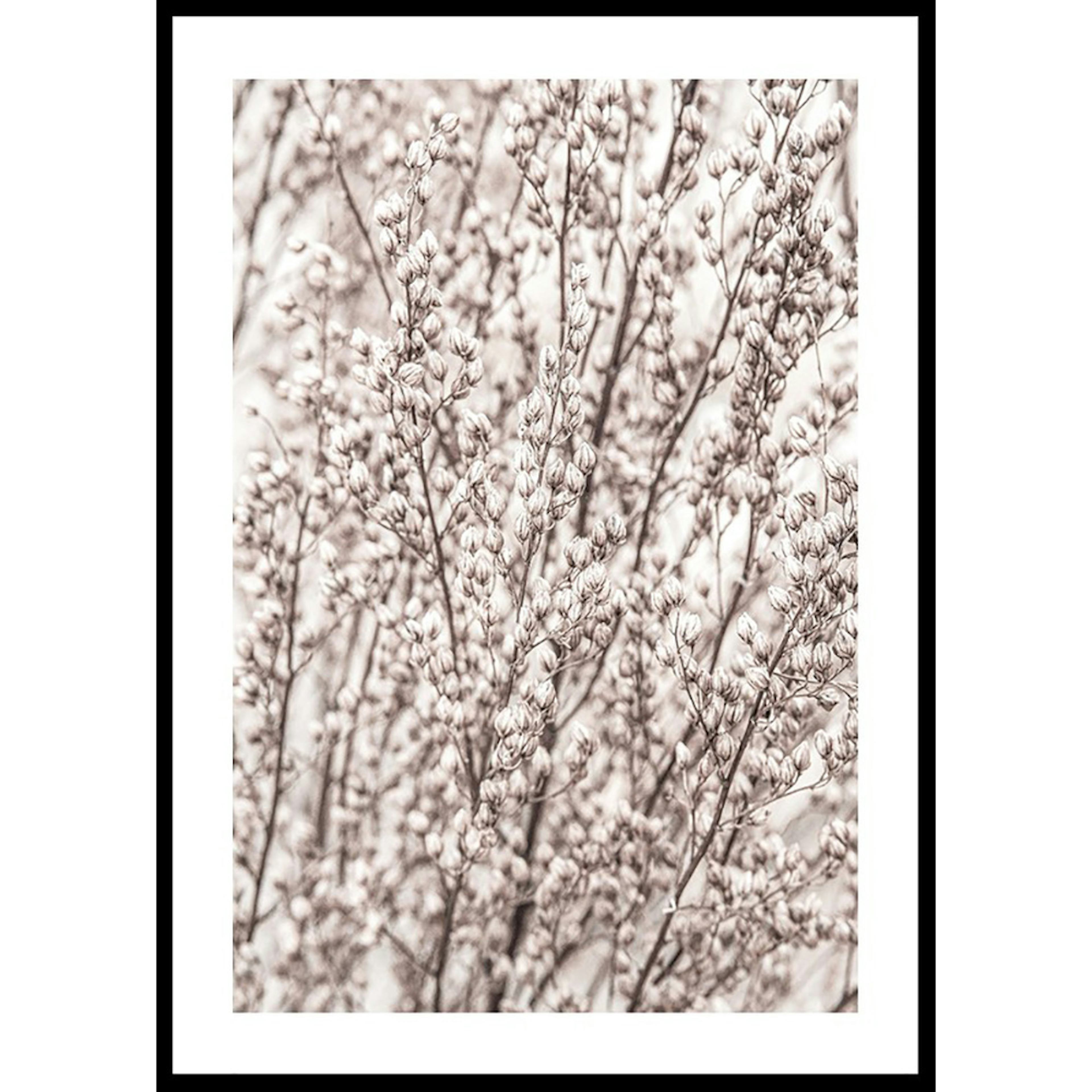 Poster Gallerix Boho Botanical