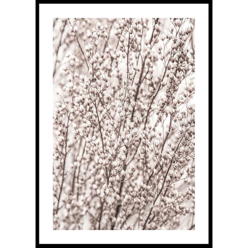 Poster Gallerix Boho Botanical