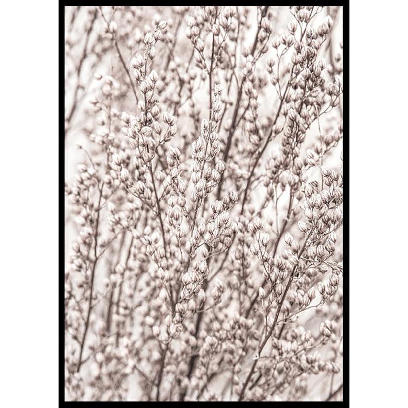 Poster Gallerix Boho Botanical