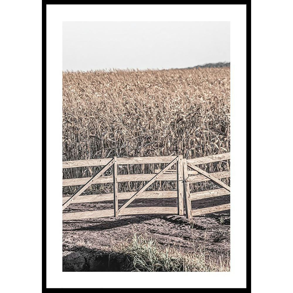 Poster Gallerix Dried Fields