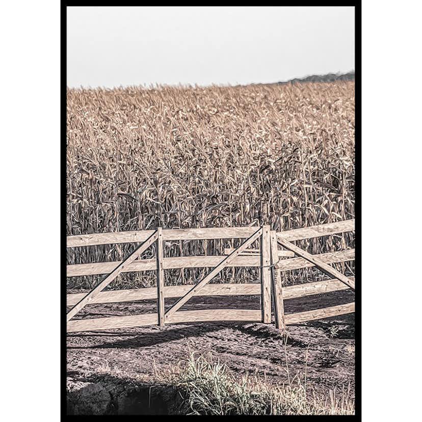 Poster Gallerix Dried Fields