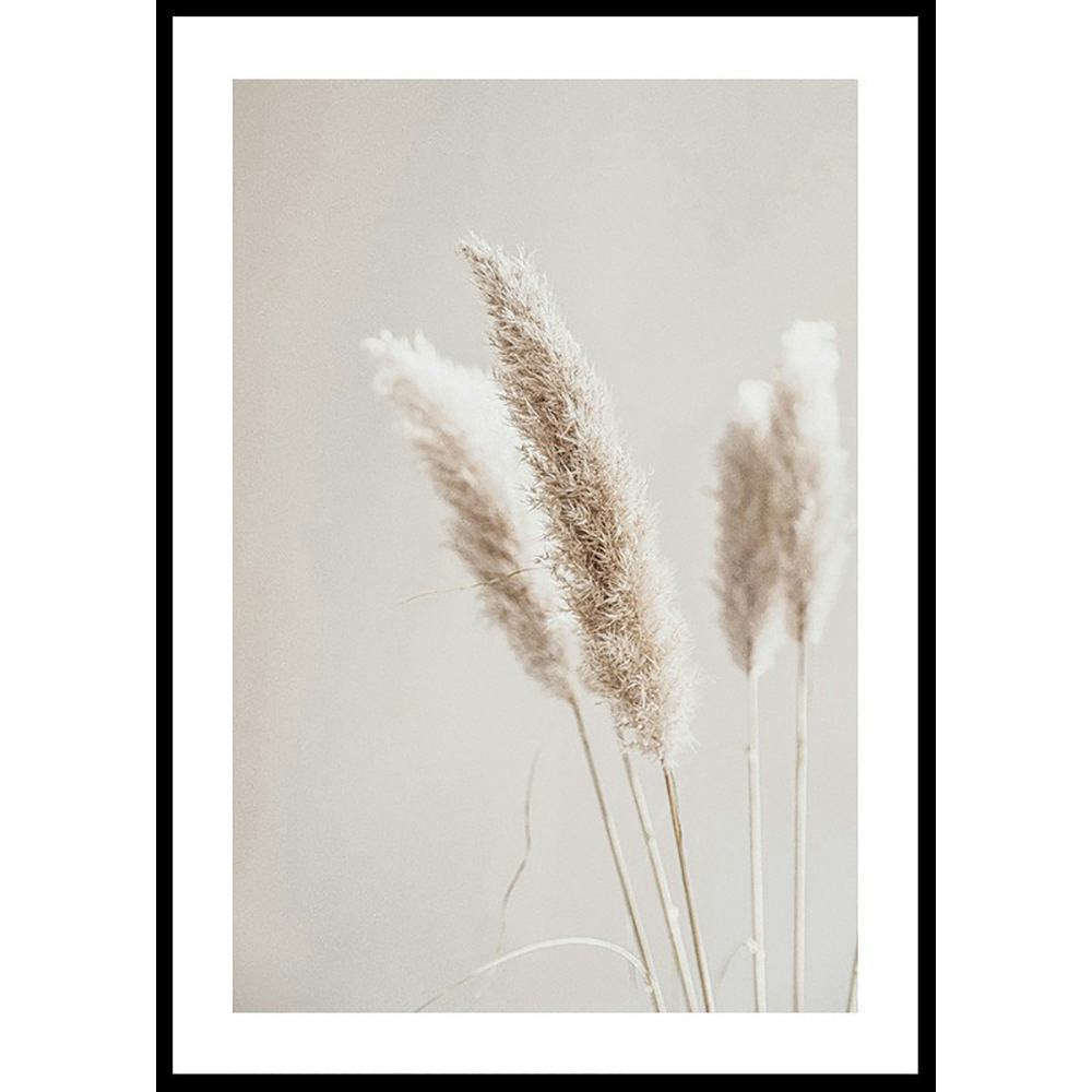 Poster Gallerix Boho Dried In Nature No6