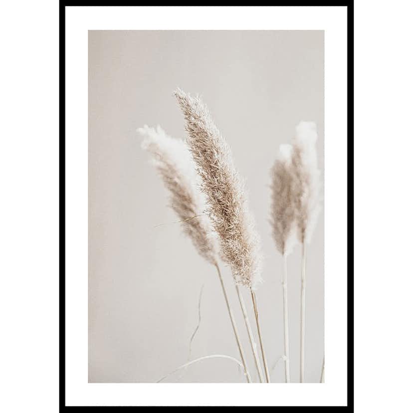 Poster Gallerix Boho Dried In Nature No6