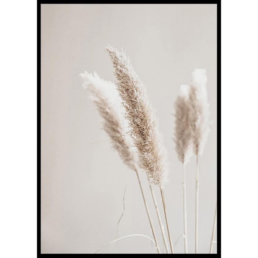 Poster Gallerix Boho Dried In Nature No6