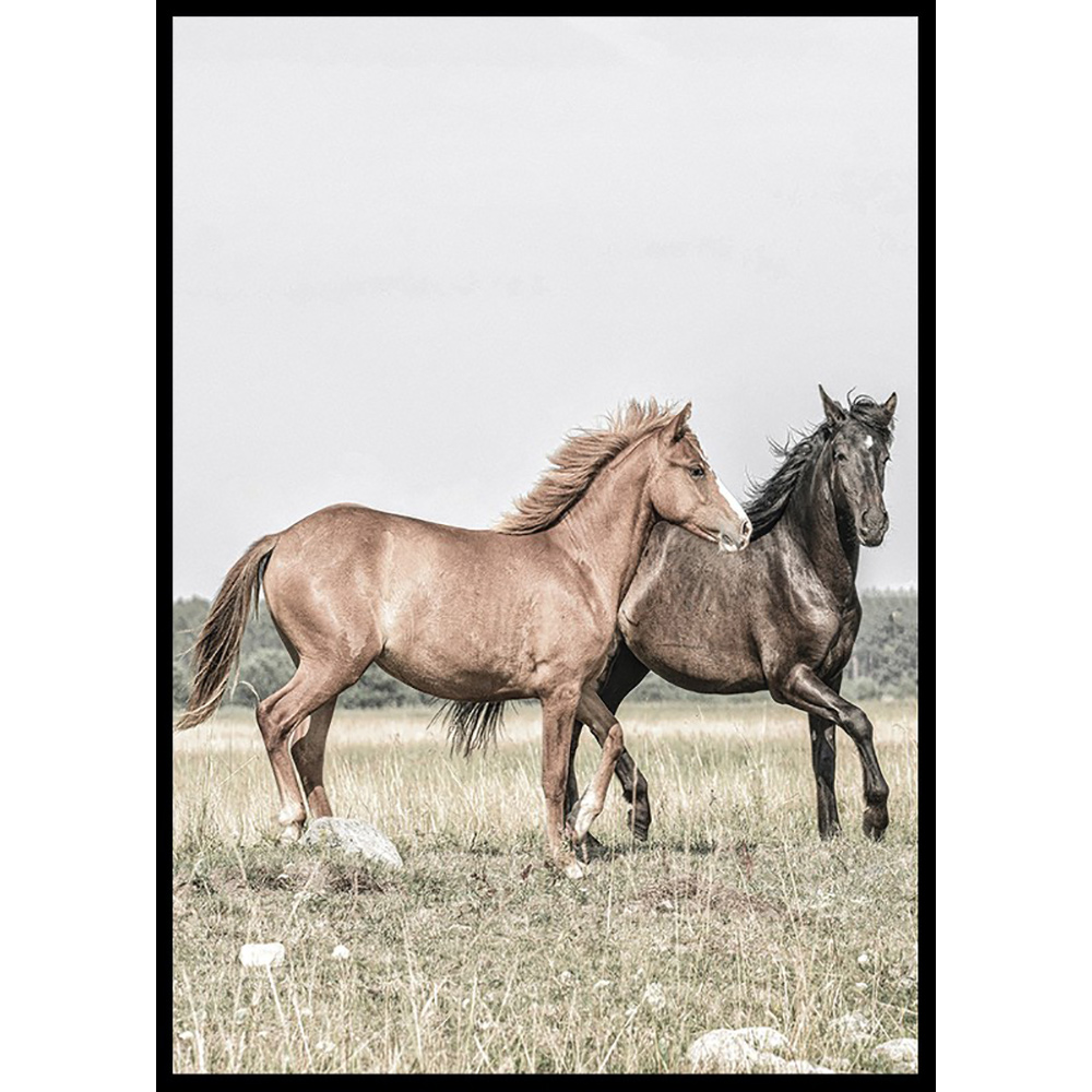 Poster Gallerix Two Brown Horses