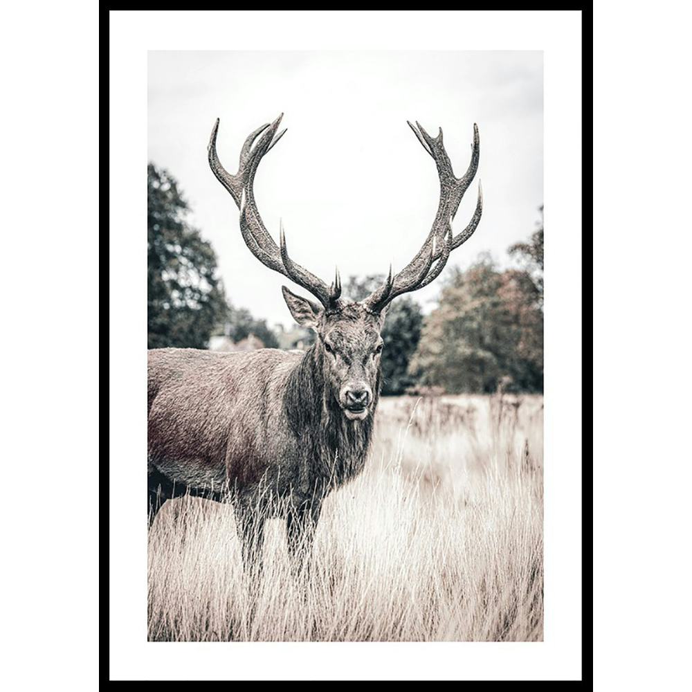 Poster Gallerix Wild Stag