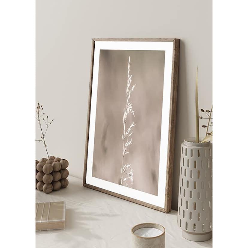 Poster Gallerix Boho Dried In Nature No4