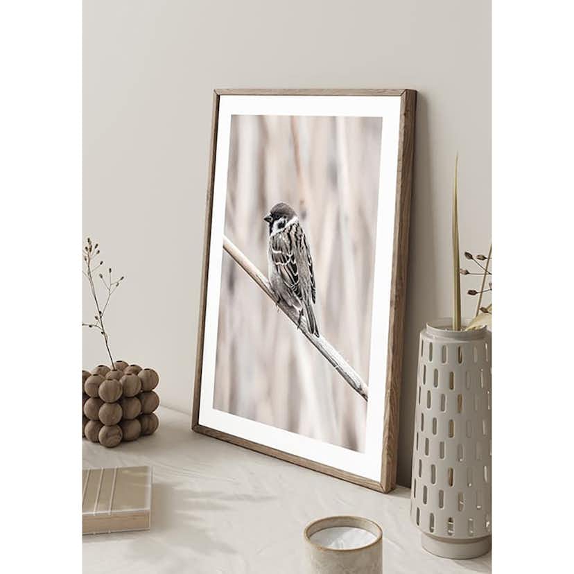 Poster Gallerix Tree Sparrow