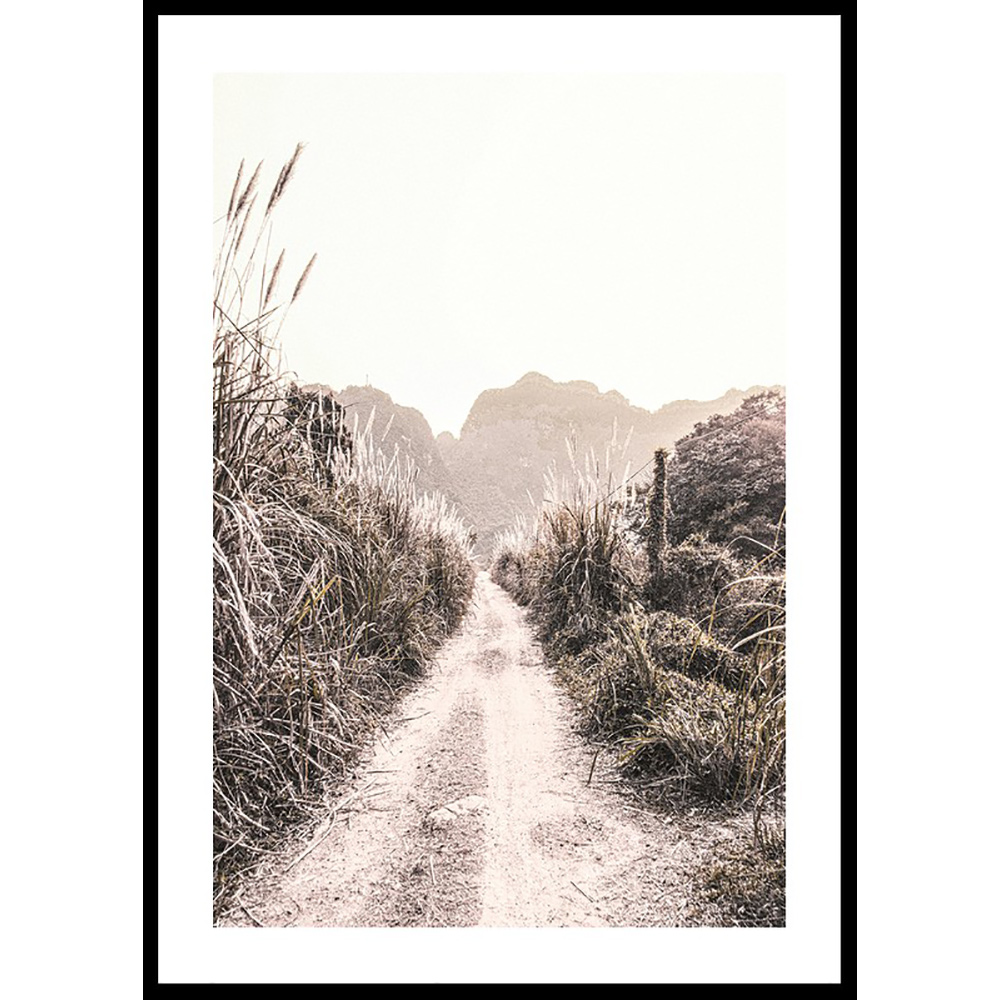 Poster Gallerix Dirt Road In Grass Fields