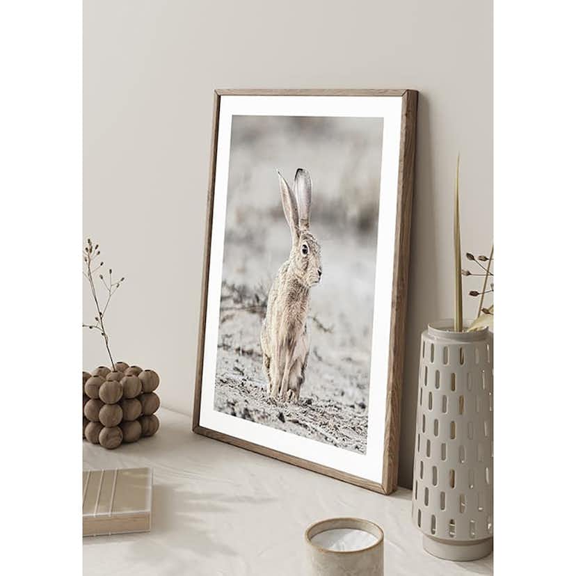 Poster Gallerix Hare Up Close