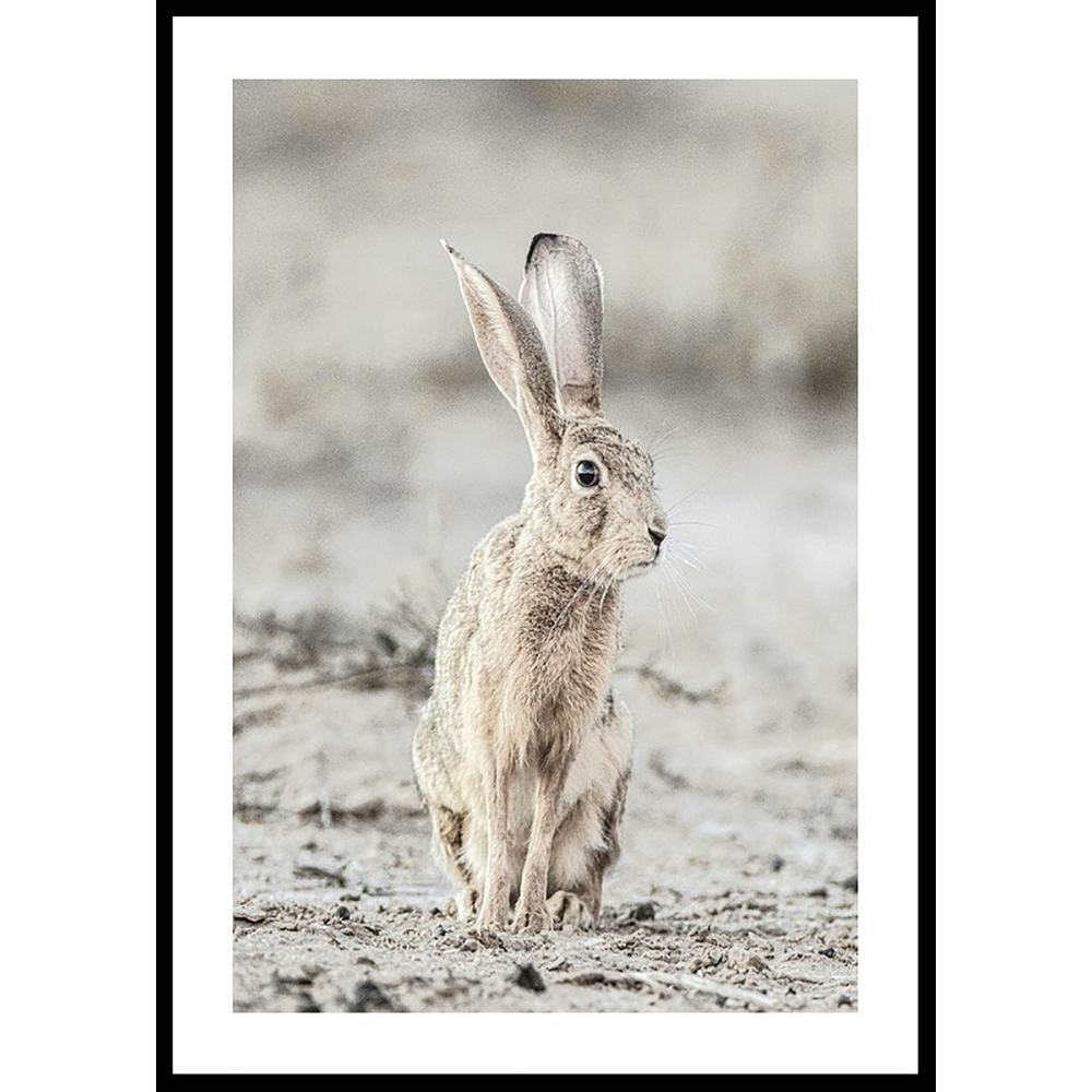 Poster Gallerix Hare Up Close