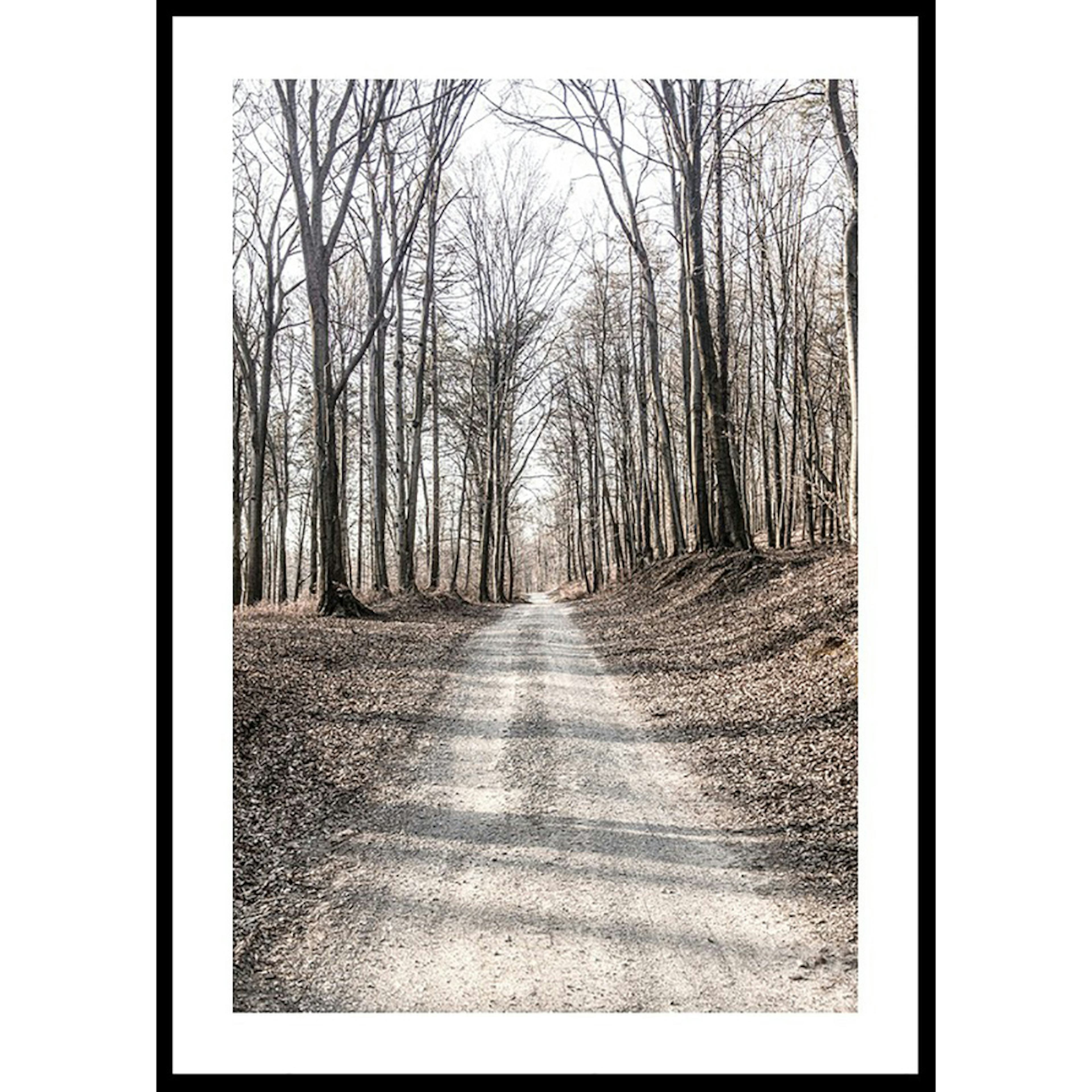 Poster Gallerix Gravel Road In Autumn Forest
