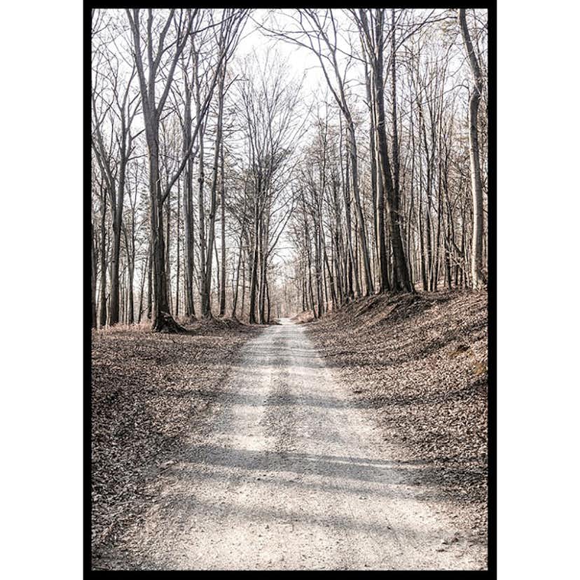 Poster Gallerix Gravel Road In Autumn Forest