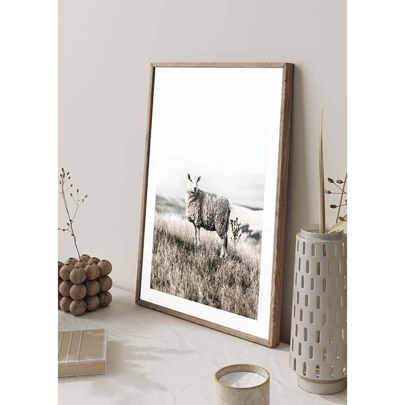 Poster Gallerix White Sheep In Field