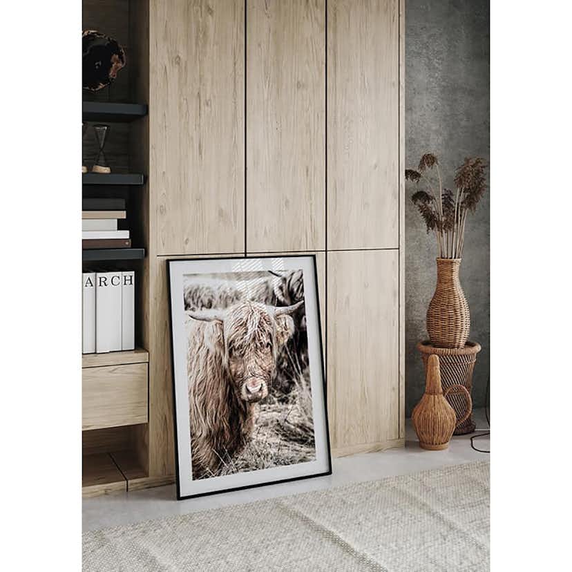 Poster Gallerix Cow Up Close