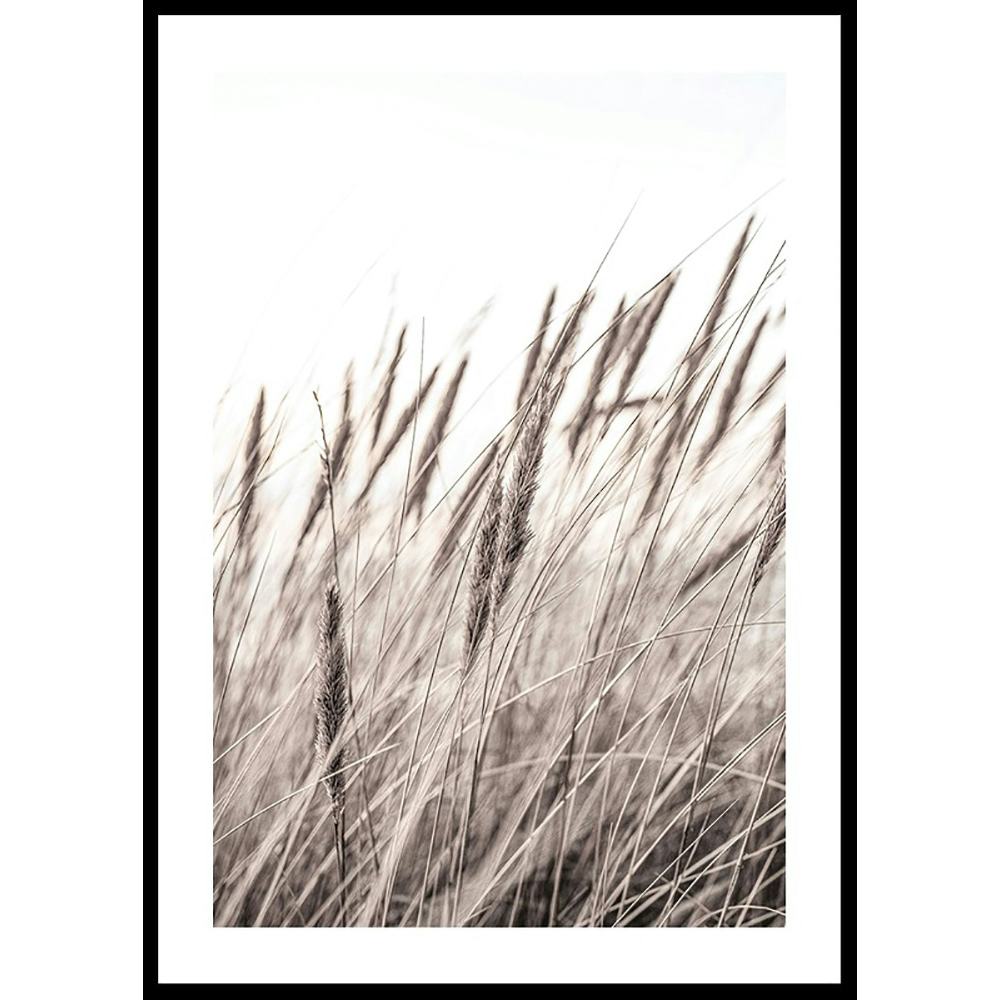 Poster Gallerix Boho Dried In Nature No1