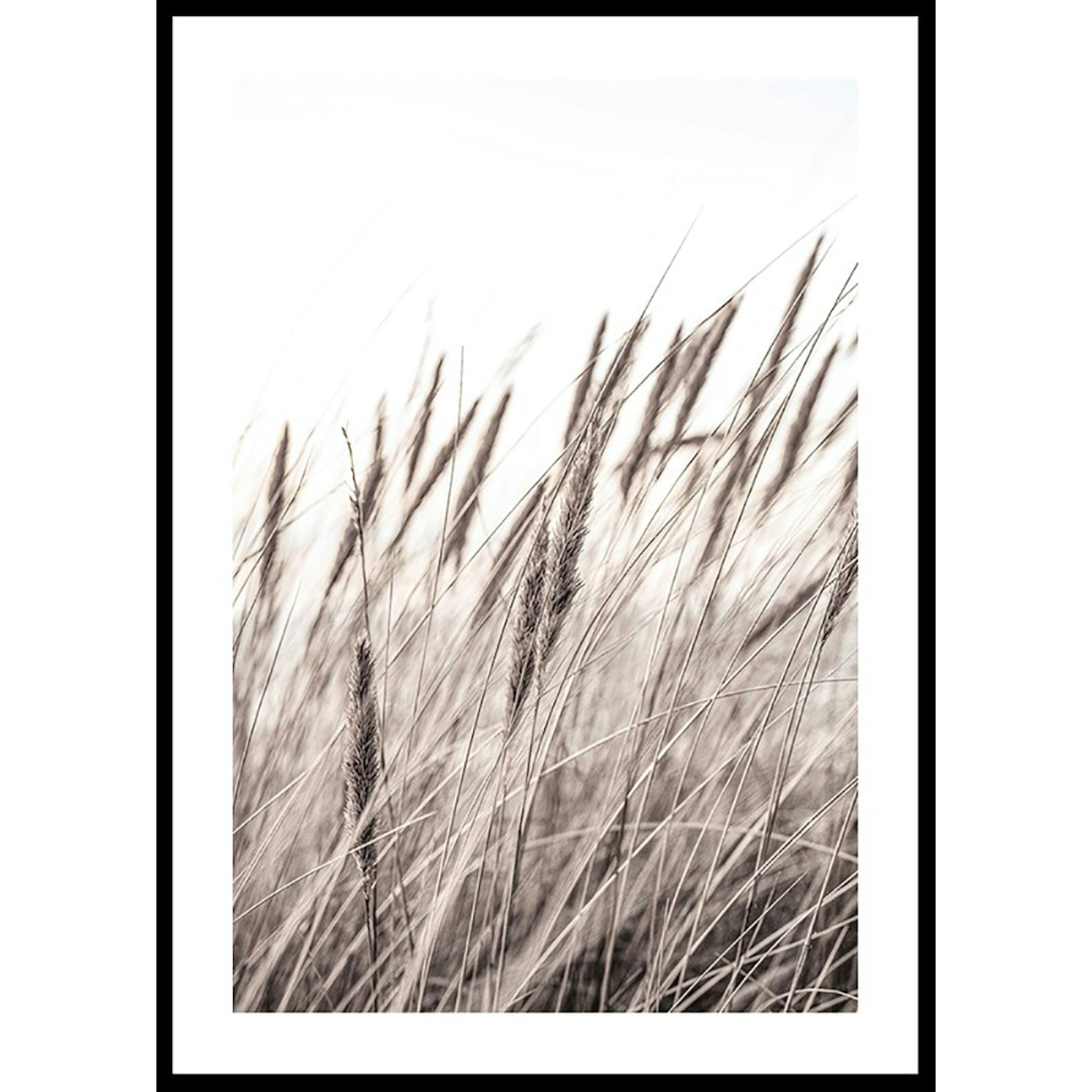 Poster Gallerix Boho Dried In Nature No1