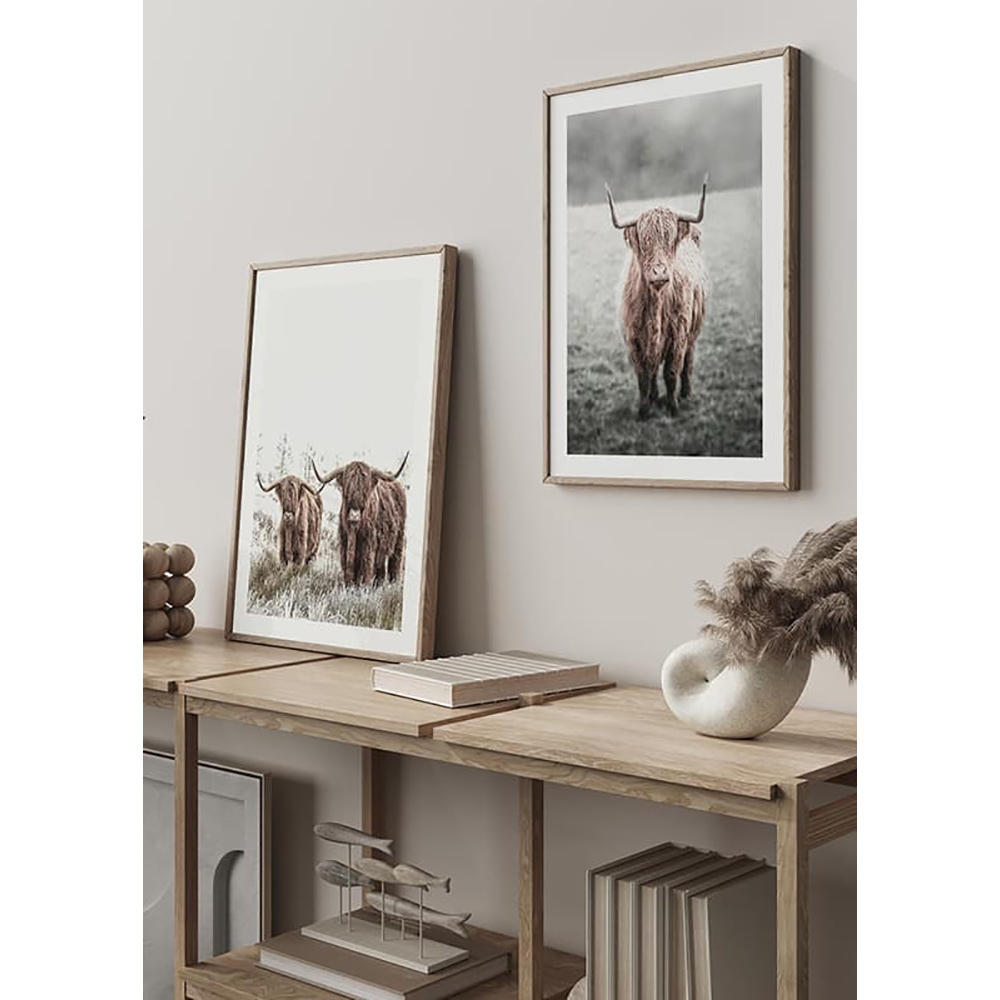 Poster Gallerix Highland Cow