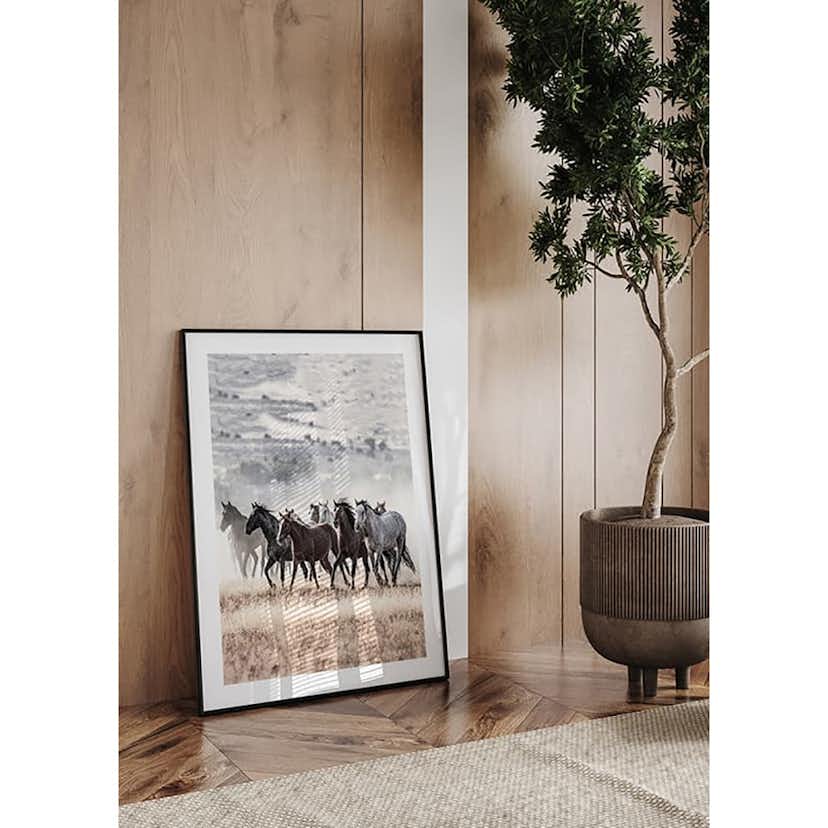 Poster Gallerix Wild Horses Free Spirit